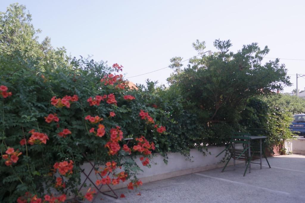 Apartment Lavanda Zadar Extérieur photo
